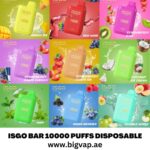 Isgo Bar 10000 Puffs Disposable Vape uae