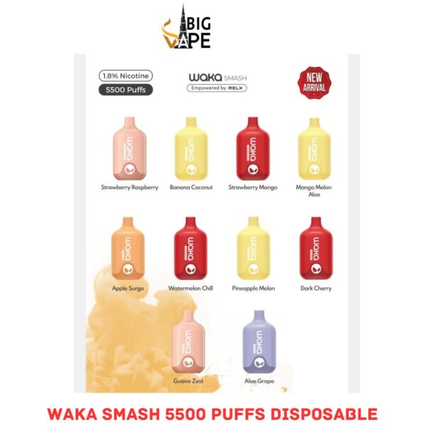 Waka Smash 5500 Puffs Disposable