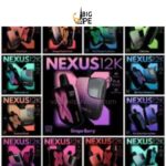 Pod Salt Nexus 12000 Puffs Disposable Vape