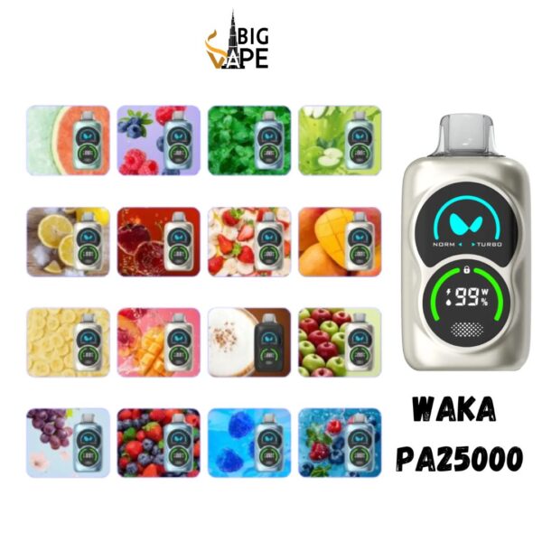 Waka PA25000 Puffs Disposable Vape (1)