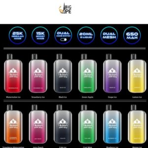 Veiik Space Mist 25000 Puffs UAE dubai