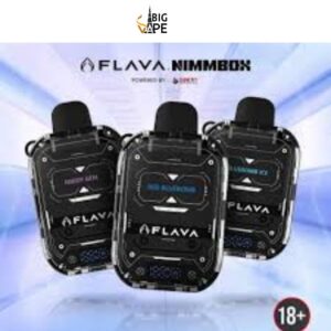 Flava Nimmbox 10000 Puffs Disposable