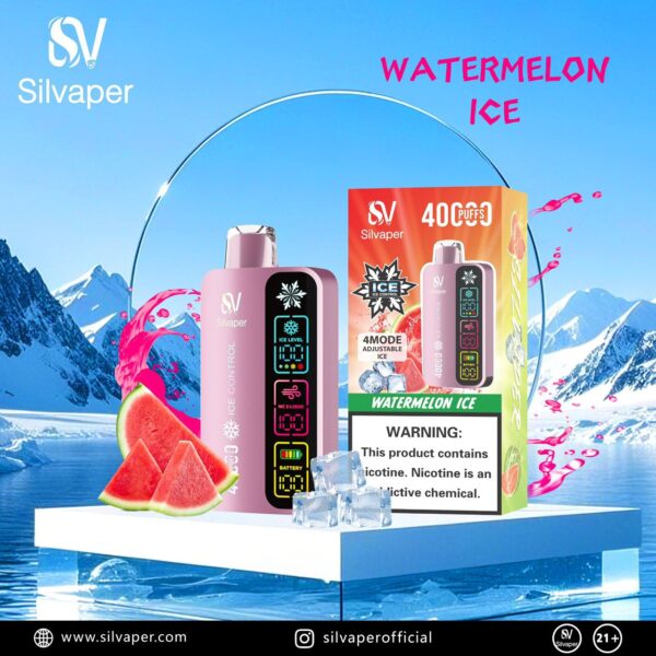 Silvaper 40000 Puffs Disposable