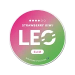 LEO Nicotine Pouches in Dubai UAE | All Flavors - Image 5