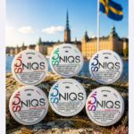 NIQS Nicotine Pouches