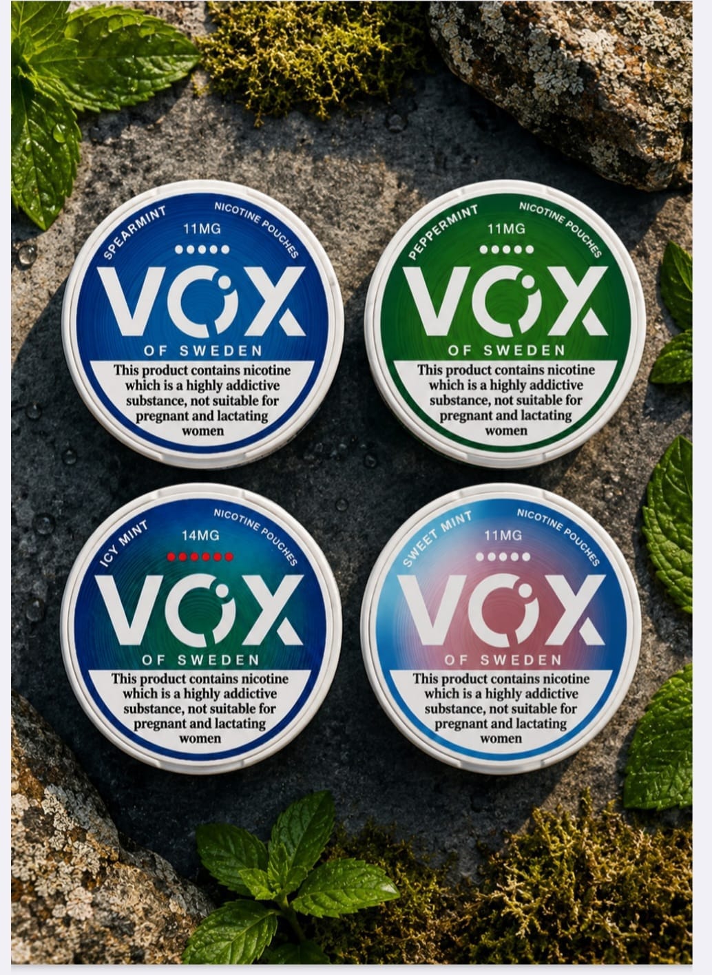 Vox Nicotine Pouches