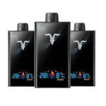 IGNITE V300 30000 Puffs